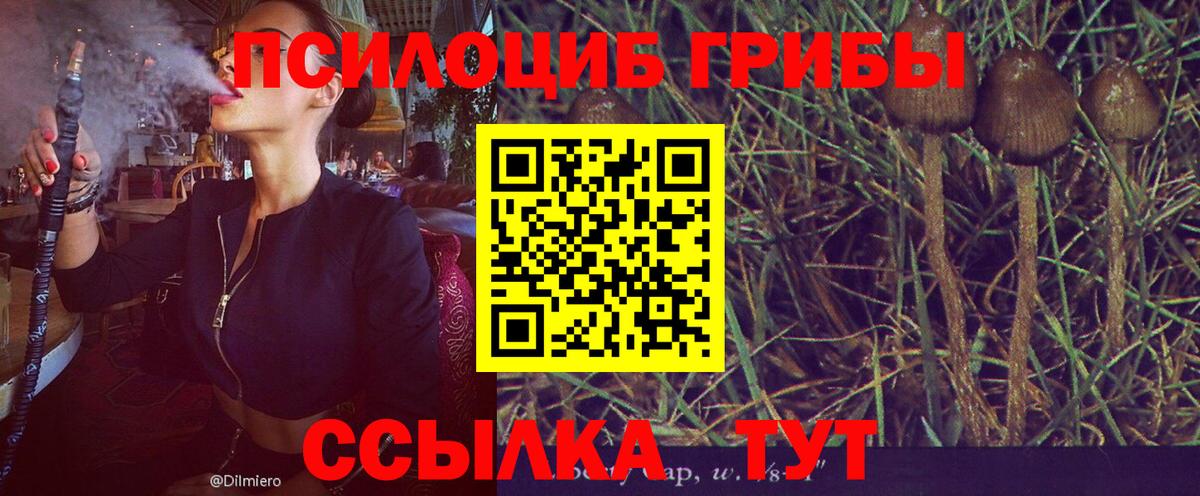 Новоуральск  Псилоцибиновые грибы Magic Shrooms  Вход с VPN 